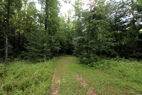 164 Reservior Rd, Springfield, AR 72157 photo 2