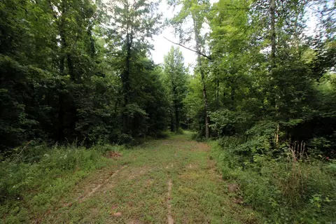 164 Reservior Rd, Springfield, AR 72157 photo 3