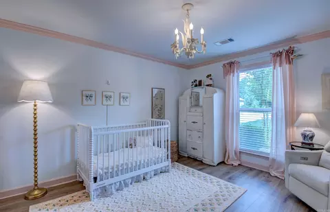 Bedroom - 385 Reuben Dr, Alexander, AR 72002 photo 1 of 11