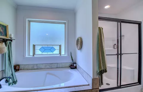 Bath - 385 Reuben Dr, Alexander, AR 72002 photo 3 of 4