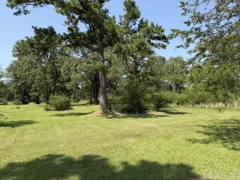 Other - 864 Edgemont Rd, Quitman, AR 72131 photo 2 of 5