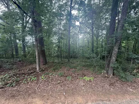 Pine Drive, Heber Springs, AR 72543