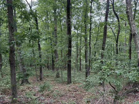 Pine Drive, Heber Springs, AR 72543