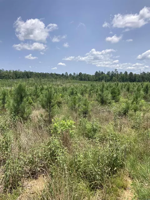 1414 Block Of Newkirk Cir, Jessieville, AR 71949
