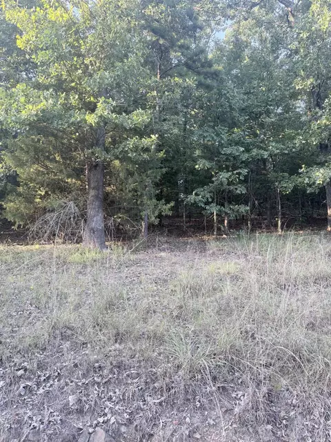 lot13 Ridge, Mayflower, AR 72106 photo 2