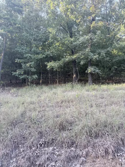 lot13 Ridge, Mayflower, AR 72106 photo 4