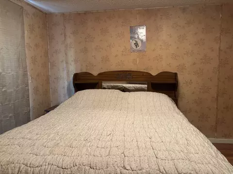 40 Ponca Rd, Edgemont, AR 72044 photo 15