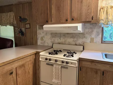 40 Ponca Rd, Edgemont, AR 72044 photo 6