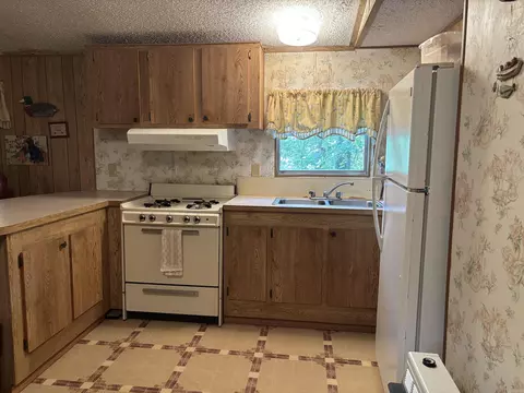 40 Ponca Rd, Edgemont, AR 72044 photo 5
