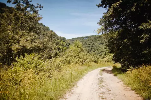 40 Ponca Rd, Edgemont, AR 72044 photo 22