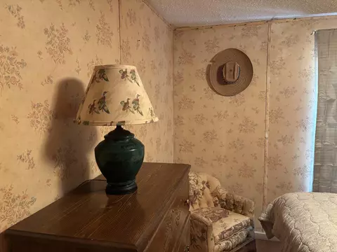 40 Ponca Rd, Edgemont, AR 72044 photo 17