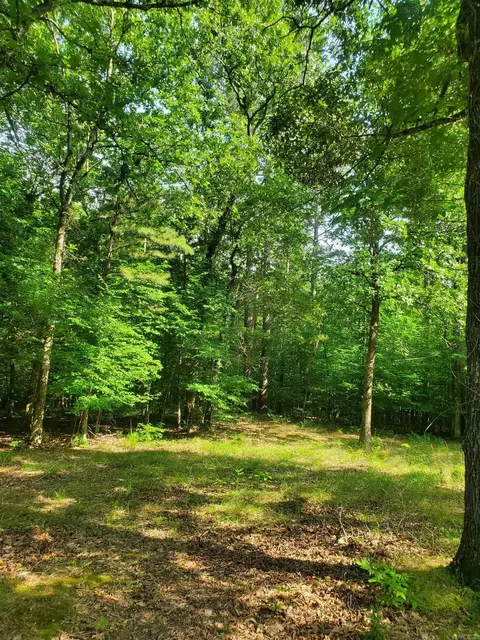 tbd Nella Rd, Waldron, AR 72958 photo 3