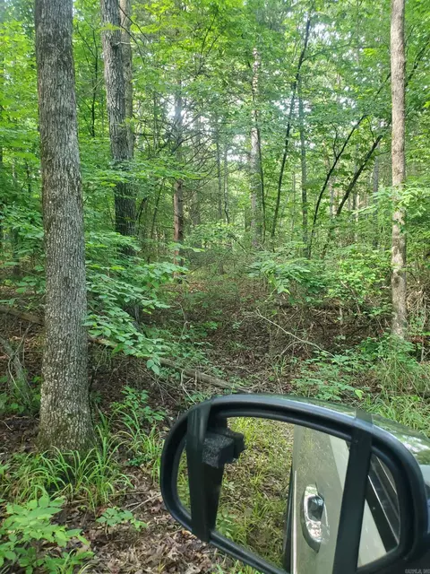 tbd Nella Rd, Waldron, AR 72958 photo 14