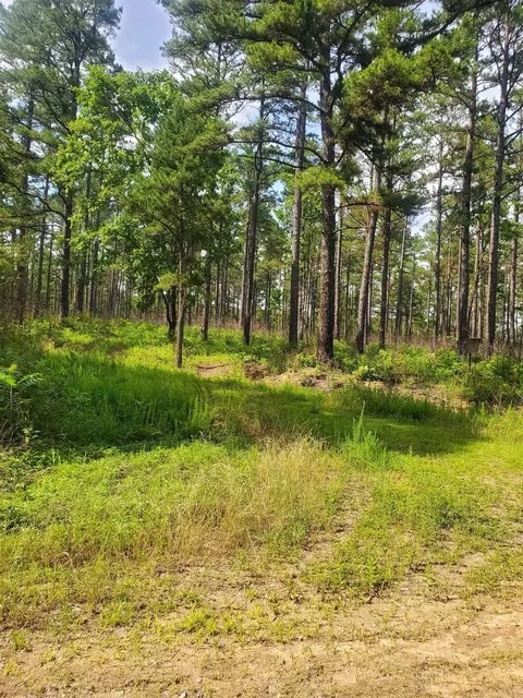 tbd Nella Rd, Waldron, AR 72958 photo 8