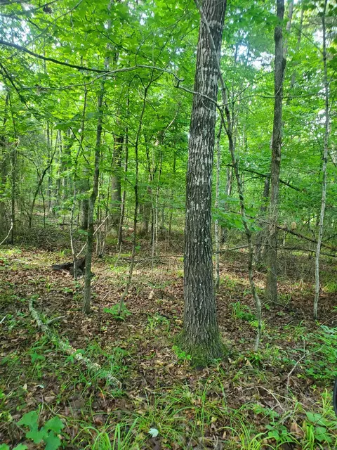 tbd Nella Rd, Waldron, AR 72958 photo 13