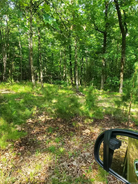tbd Nella Rd, Waldron, AR 72958 photo 12