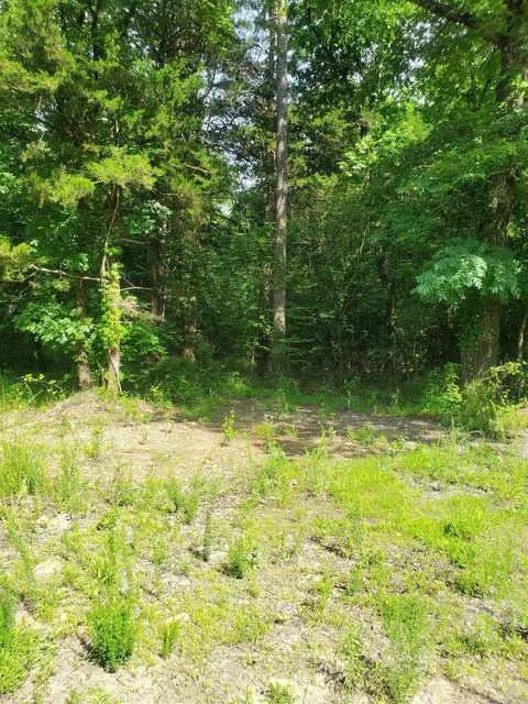 tbd Nella Rd, Waldron, AR 72958 photo 11