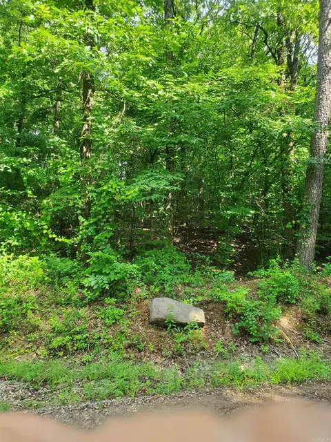 tbd Nella Rd, Waldron, AR 72958 photo 9