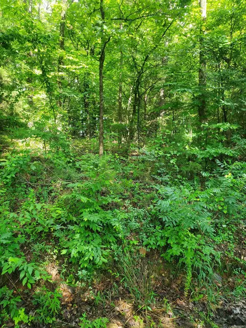 tbd Nella Rd, Waldron, AR 72958 photo 10