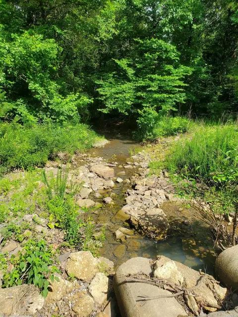 tbd Nella Rd, Waldron, AR 72958 photo 4