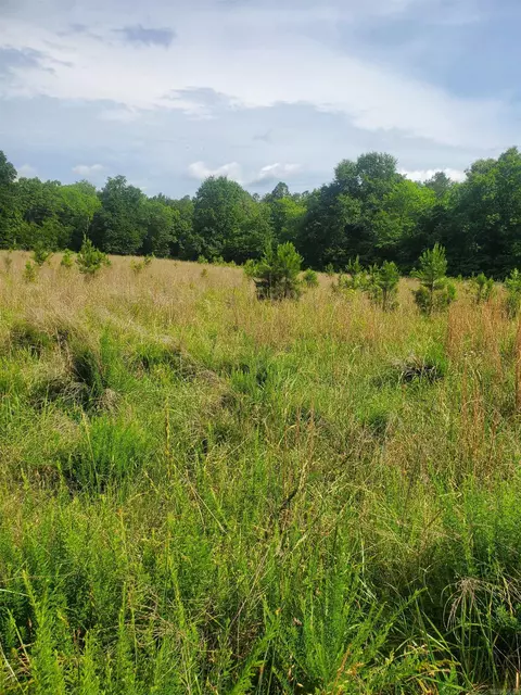 tbd Nella Rd, Waldron, AR 72958 photo 5