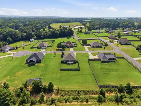 View/Area - 3 Corbin Cv, Greenbrier, AR 72058 photo 4 of 5
