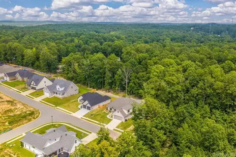 View/Area - 5192 Peace Ln, Alexander, AR 72002 photo 2 of 4