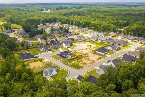 View/Area - 5192 Peace Ln, Alexander, AR 72002 photo 3 of 4