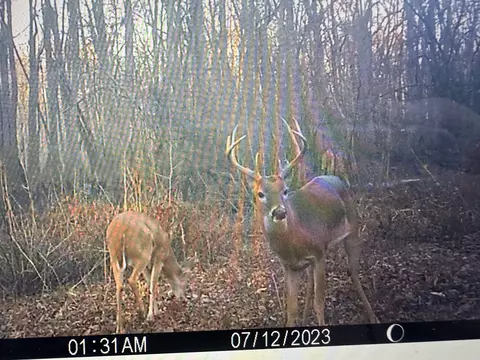 3225 Loop Rd, Holly Grove, AR 72069 photo 9