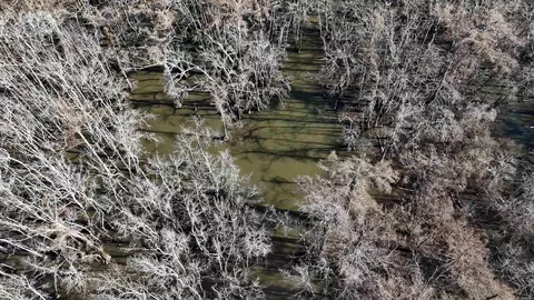 3225 Loop Rd, Holly Grove, AR 72069 photo 47