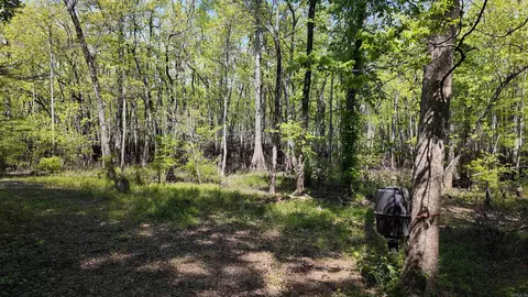 3225 Loop Rd, Holly Grove, AR 72069 photo 18