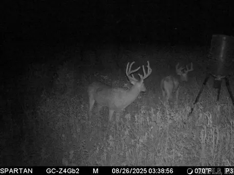 3225 Loop Rd, Holly Grove, AR 72069 photo 2