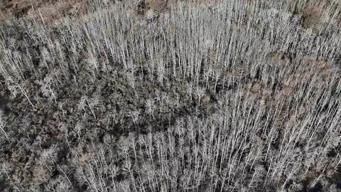 3225 Loop Rd, Holly Grove, AR 72069 photo 50