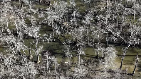 3225 Loop Rd, Holly Grove, AR 72069 photo 48