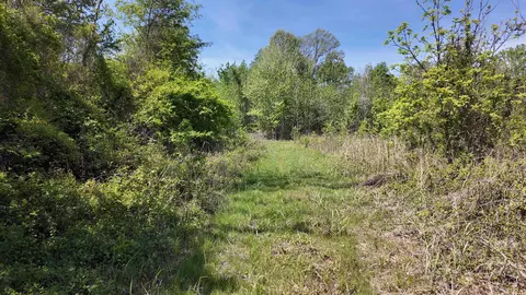 3225 Loop Rd, Holly Grove, AR 72069 photo 28