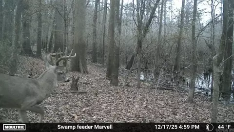3225 Loop Rd, Holly Grove, AR 72069 photo 3