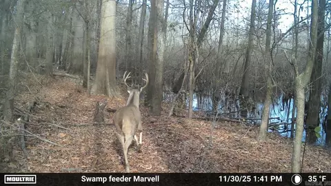 3225 Loop Rd, Holly Grove, AR 72069 photo 5
