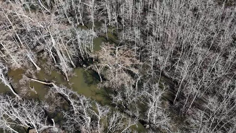 3225 Loop Rd, Holly Grove, AR 72069 photo 30
