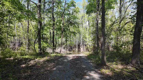 3225 Loop Rd, Holly Grove, AR 72069 photo 22
