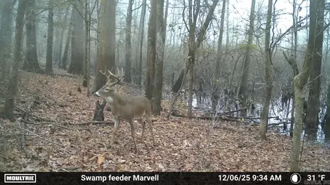 3225 Loop Rd, Holly Grove, AR 72069 photo 6