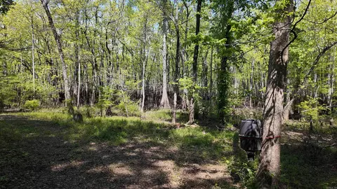3225 Loop Rd, Holly Grove, AR 72069 photo 18