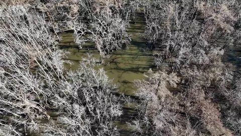 3225 Loop Rd, Holly Grove, AR 72069 photo 47