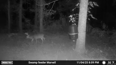 3225 Loop Rd, Holly Grove, AR 72069 photo 7