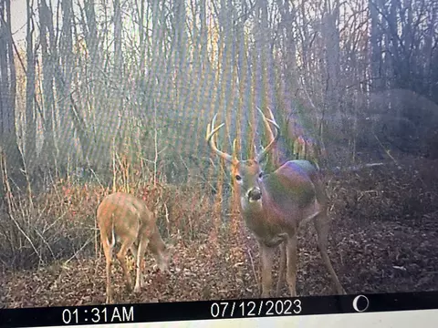 3225 Loop Rd, Holly Grove, AR 72069 photo 9