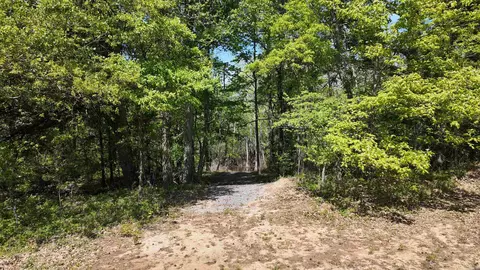 3225 Loop Rd, Holly Grove, AR 72069 photo 21