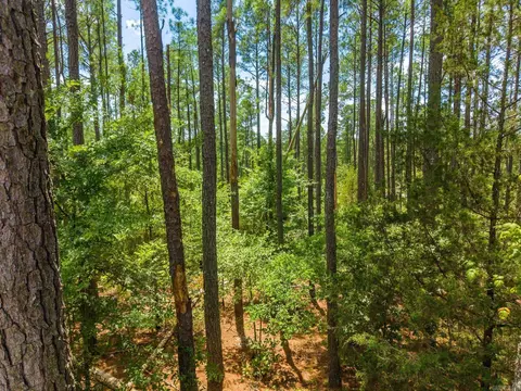 13 Victoria Ln, Hot Springs Village, AR 71909