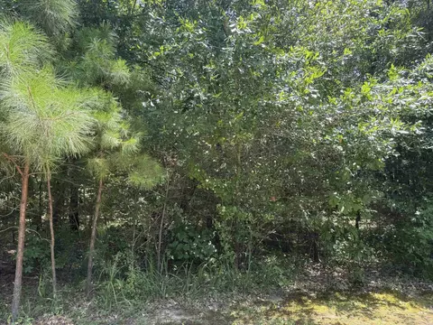 tbd Snider Rd, Kirby, AR 71950 photo 2