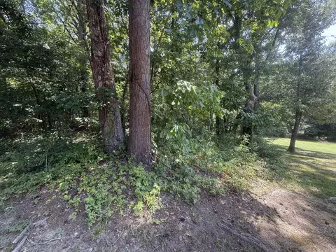 tbd Snider Rd, Kirby, AR 71950 photo 6