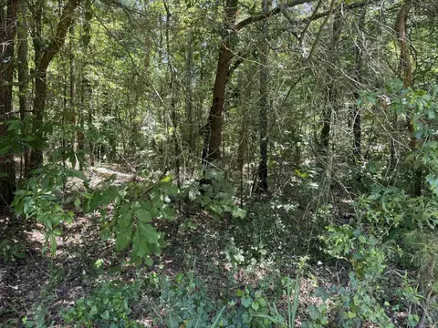 tbd Snider Rd, Kirby, AR 71950 photo 3