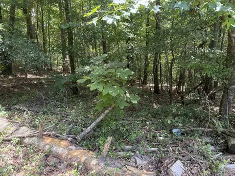tbd Snider Rd, Kirby, AR 71950 photo 4